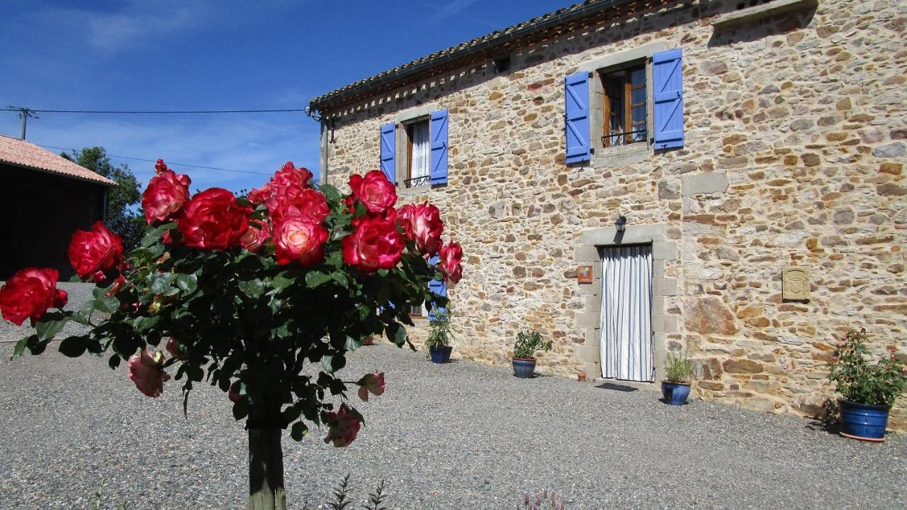 Gites & Chambres D'Hotes Peyrecout Laparrouquial 외부 사진